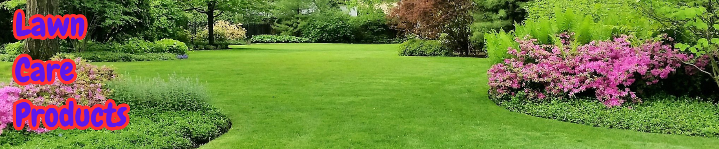A Beautiful Landscaped Lawn